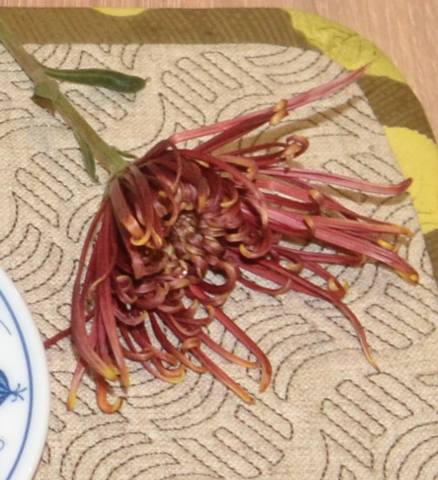 Чайная беседка