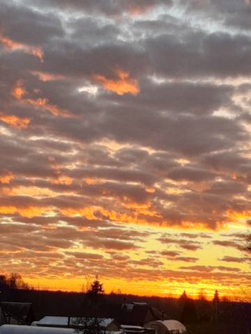 Tapтaлeтки & Ко