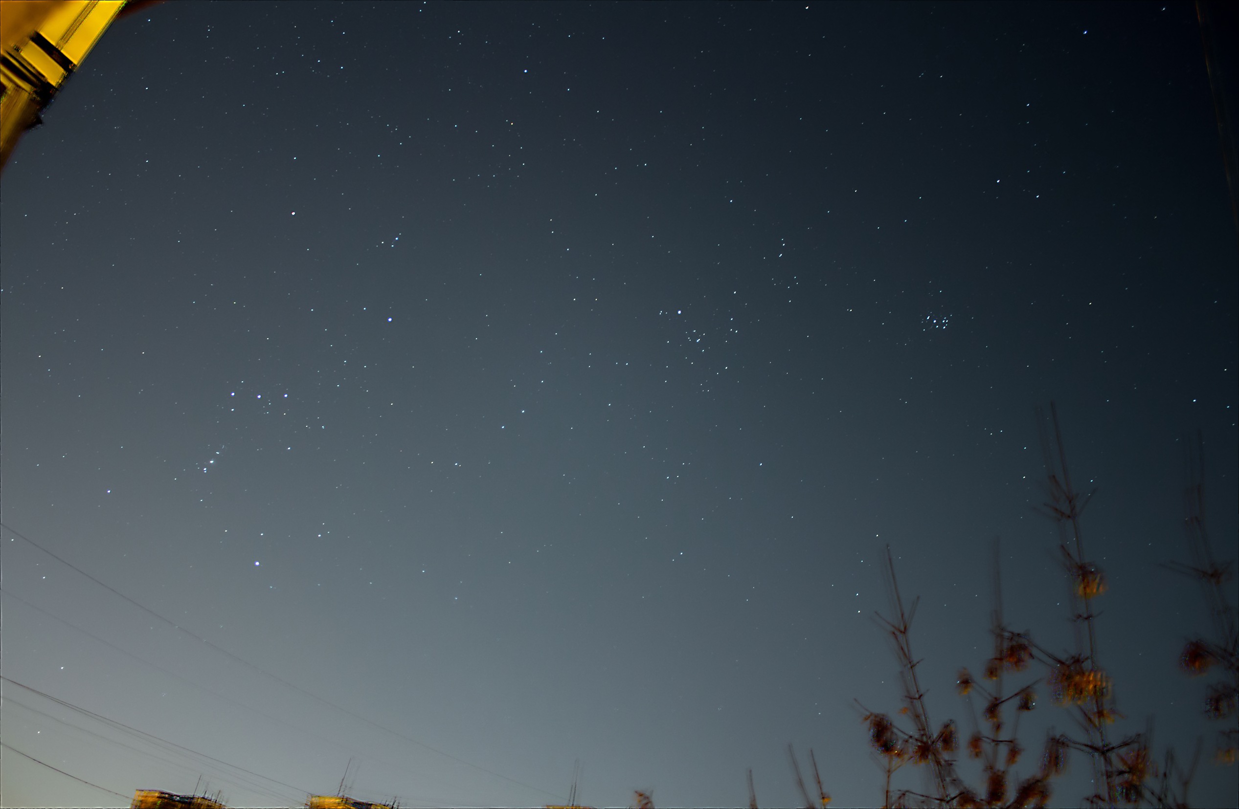 orion orion