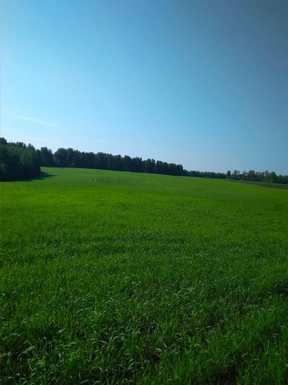 VFL.RU - ваш фотохостинг VFL.RU - ваш фотохостинг
