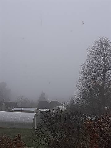 Tapтaлeтки & Ко