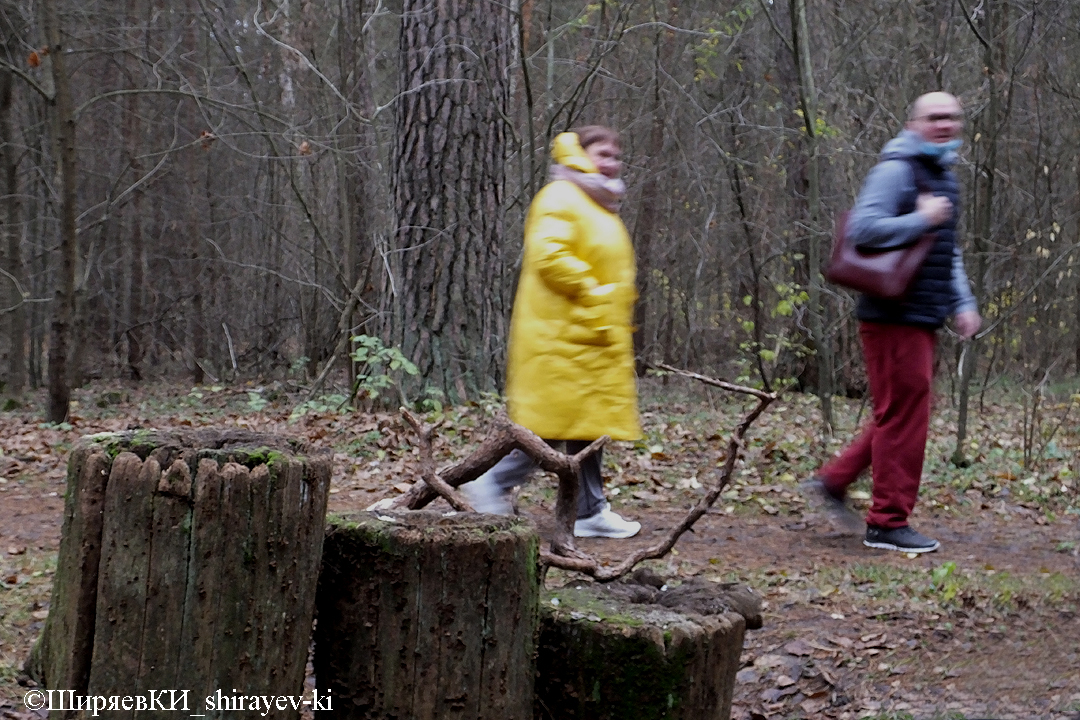 <a href="http://vfl.ru/fotos/2aba98c132278992.html"><img src="//images.vfl.ru/ii/1605191694/2aba98c1/32278992_m.jpg" alt="сойка обыкновенная" title="сойка обыкновенная" border="0"></a>