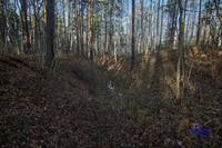 Клоповский 548 1