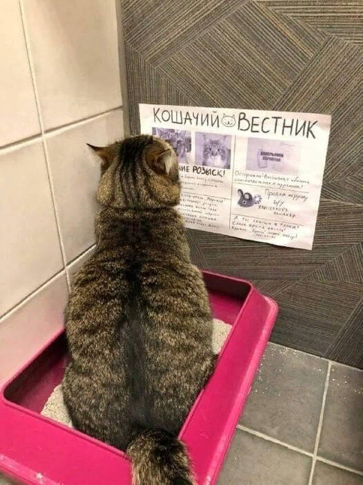Юмор Юмор