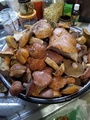 Чайная беседка