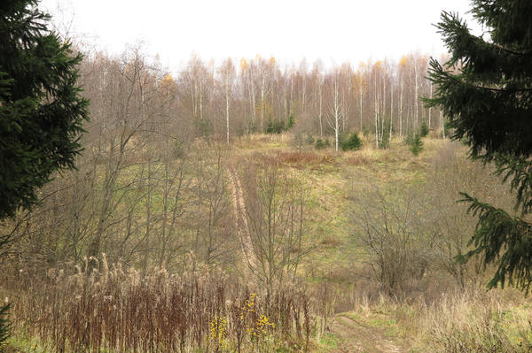 VFL.RU - ваш фотохостинг VFL.RU - ваш фотохостинг