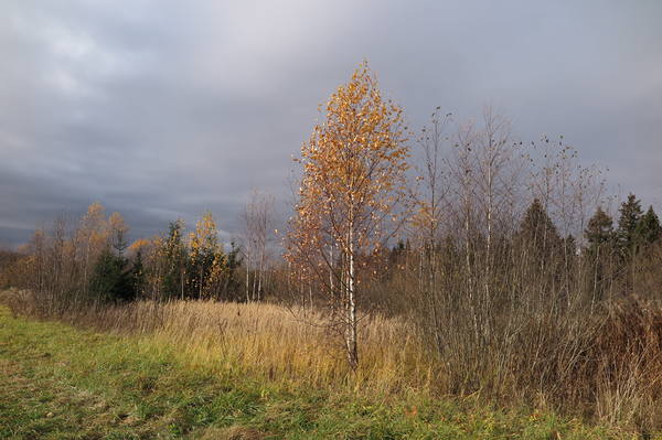 VFL.RU - ваш фотохостинг VFL.RU - ваш фотохостинг