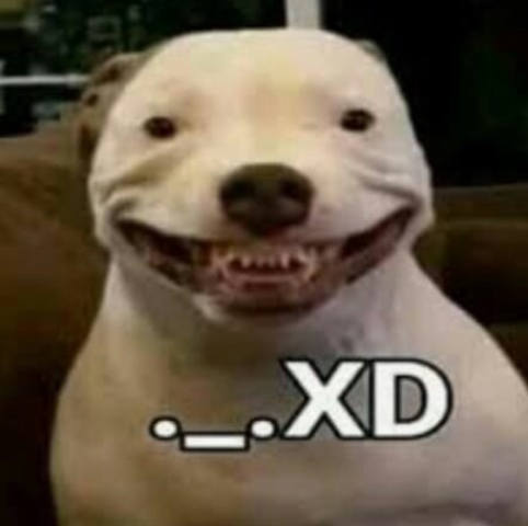 32392718_m.jpg