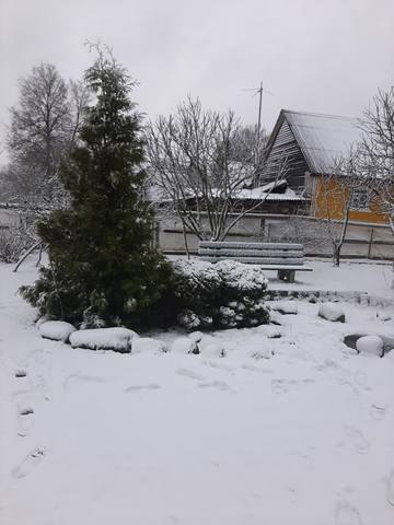 Кафе "У пани Сони"