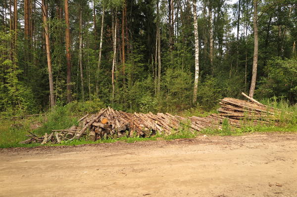 VFL.RU - ваш фотохостинг VFL.RU - ваш фотохостинг