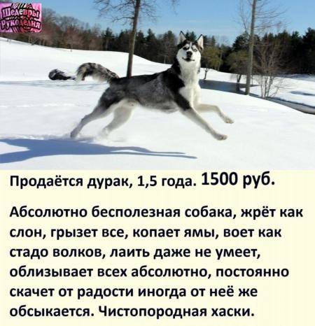 Посмеялся сам - поделись с другом!!!