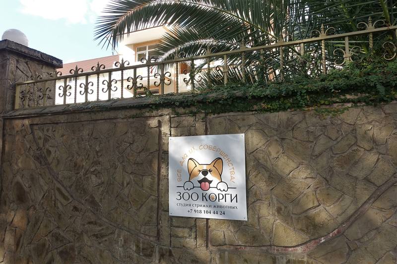 Сочи Сочи