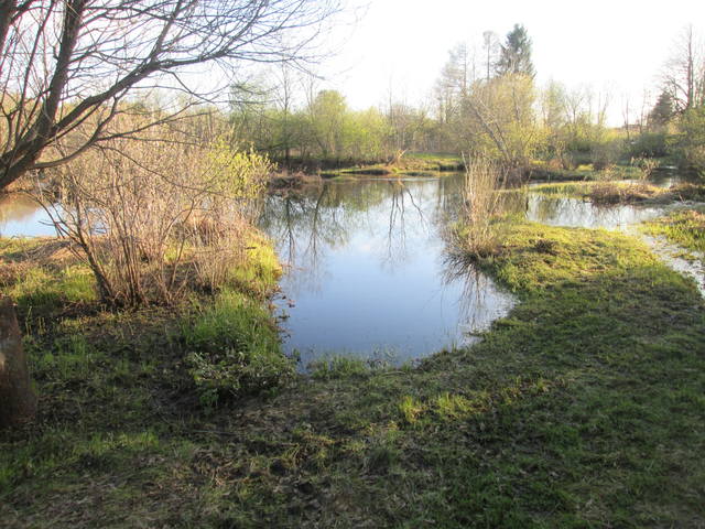 Кафе "У пани Сони"