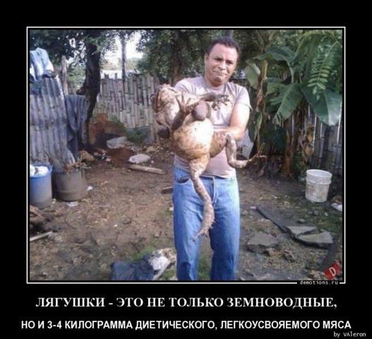 http://images.vfl.ru/ii/1606850229/7df1de60/32515746_m.jpg