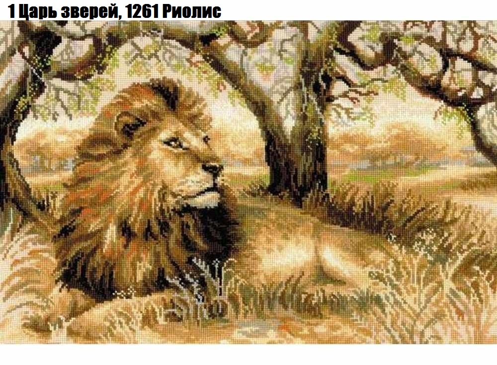 1 Царь зверей, 1261 Риолис