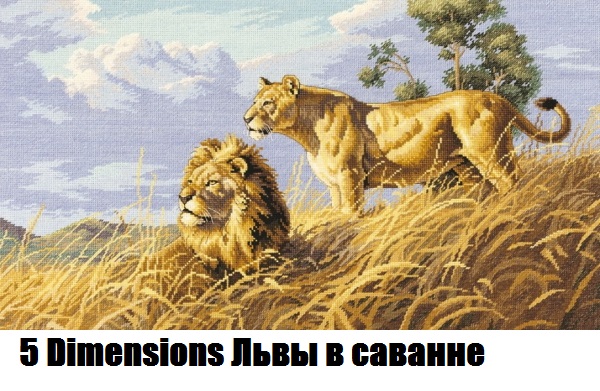 5 Dimensions Львы в саванне
