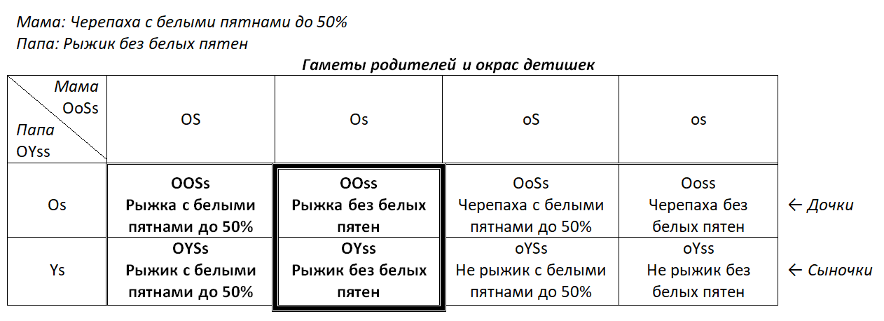 Tapтaлeтки & Ко