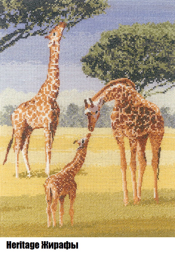 Heritage Жирафы