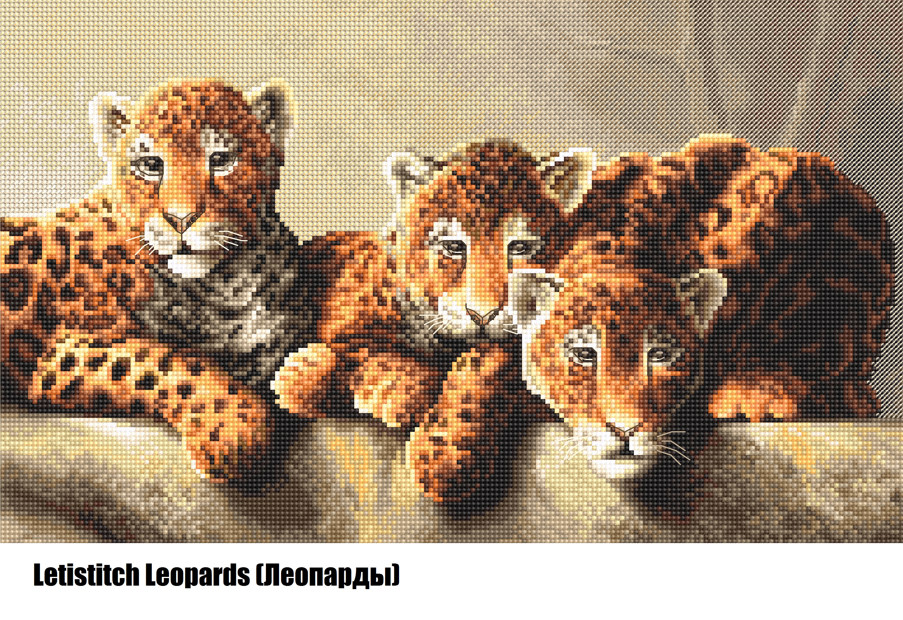 Letistitch Leopards (Леопарды)