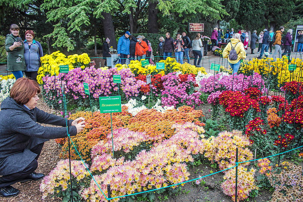 VFL.RU - ваш фотохостинг VFL.RU - ваш фотохостинг