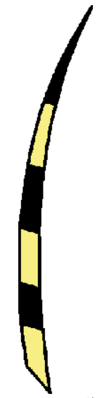 Tapтaлeтки & Ко