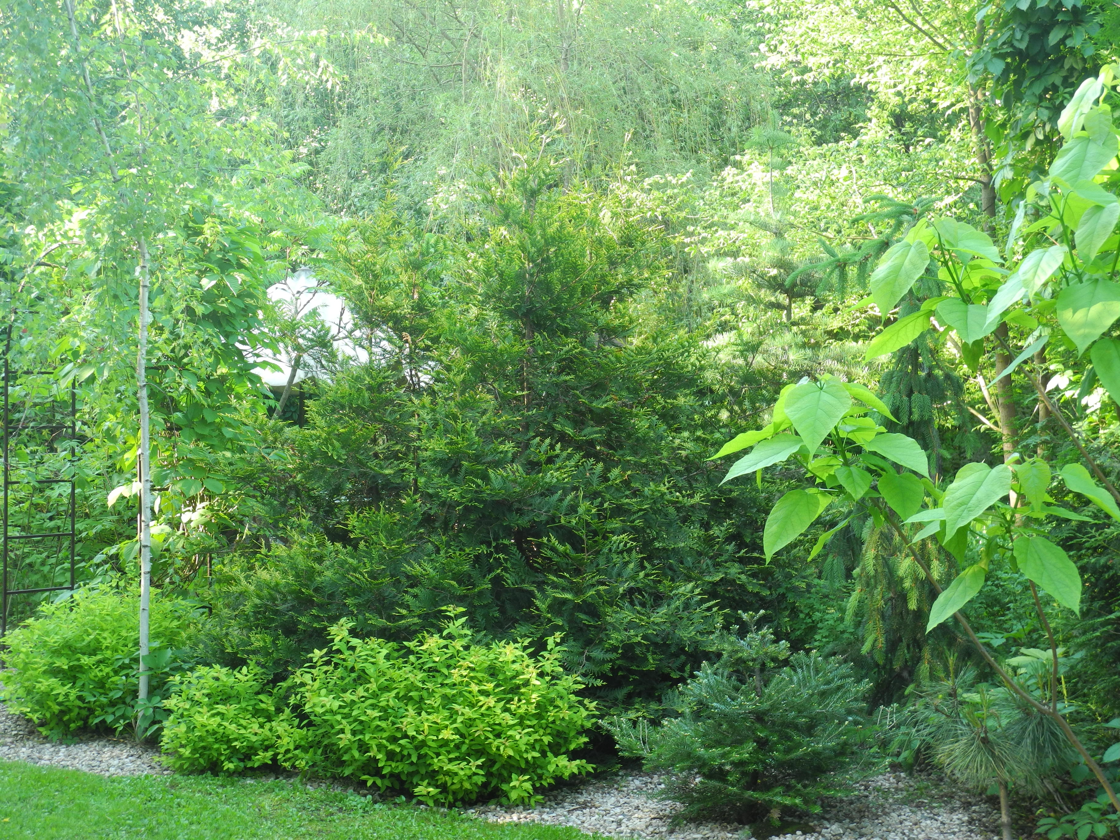 13 год западный фасад