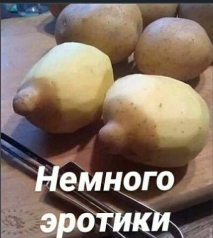 32589059_m.jpg