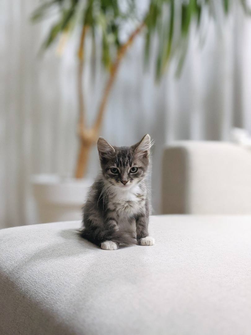 изображение viber 2020-12-08 13-35-01