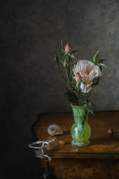 Анна Петина11