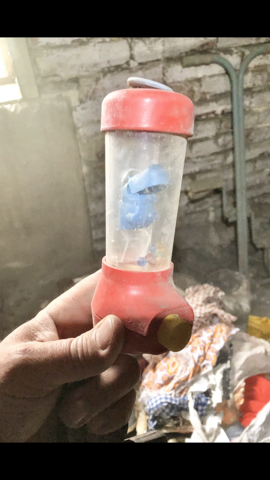 user posted image