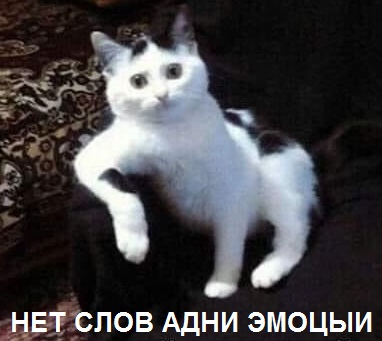 32653754.jpg