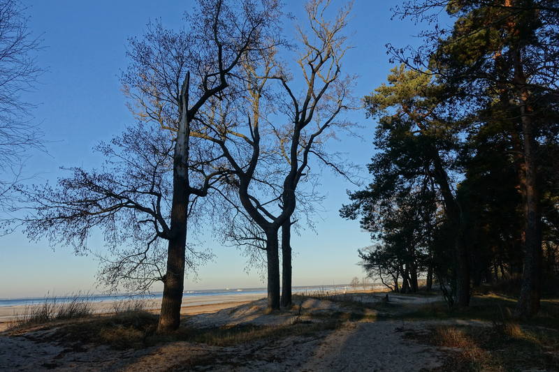 Отель Скандинавия Отель Скандинавия