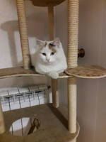 VFL.RU - ваш фотохостинг