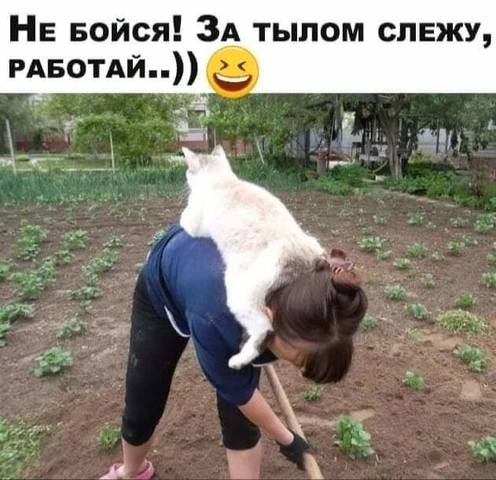 Посмеялся сам - поделись с другом!!!