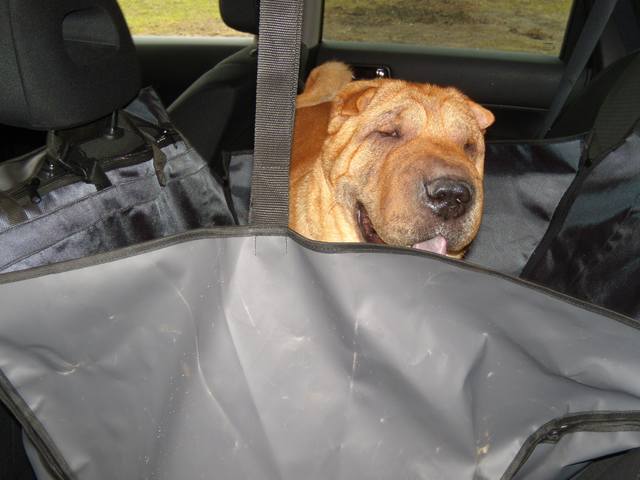 Автогамак для перевозки собак в автомобиле - Страница 5 32740700_m