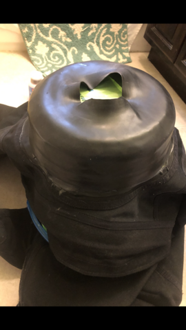 user posted image