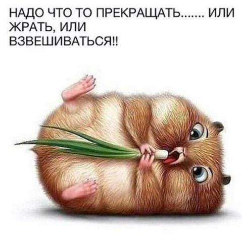 Посмеялся сам - поделись с другом!!!