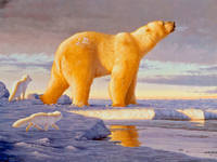 Tom-Mansanarez-3 (1)