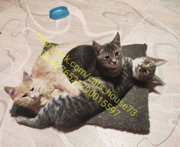 VFL.RU - ваш фотохостинг VFL.RU - ваш фотохостинг
