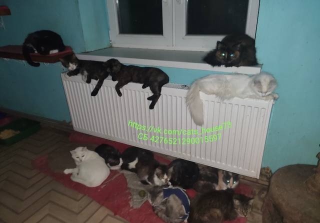 VFL.RU - ваш фотохостинг VFL.RU - ваш фотохостинг