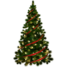 christmas tree png122