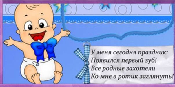 Tapтaлeтки & Ко