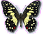 14 93 Парусник Демолей Papilio-(Princeps)-demoleus 75-100