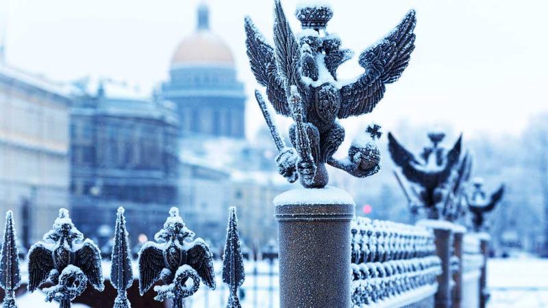 Новости Питера Новости Питера