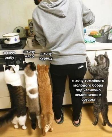 Посмеялся сам - поделись с другом!!!