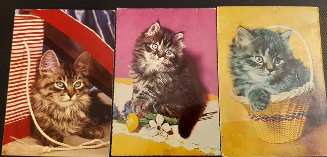 Кафе "У пани Сони"