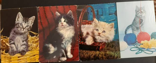 Кафе "У пани Сони"