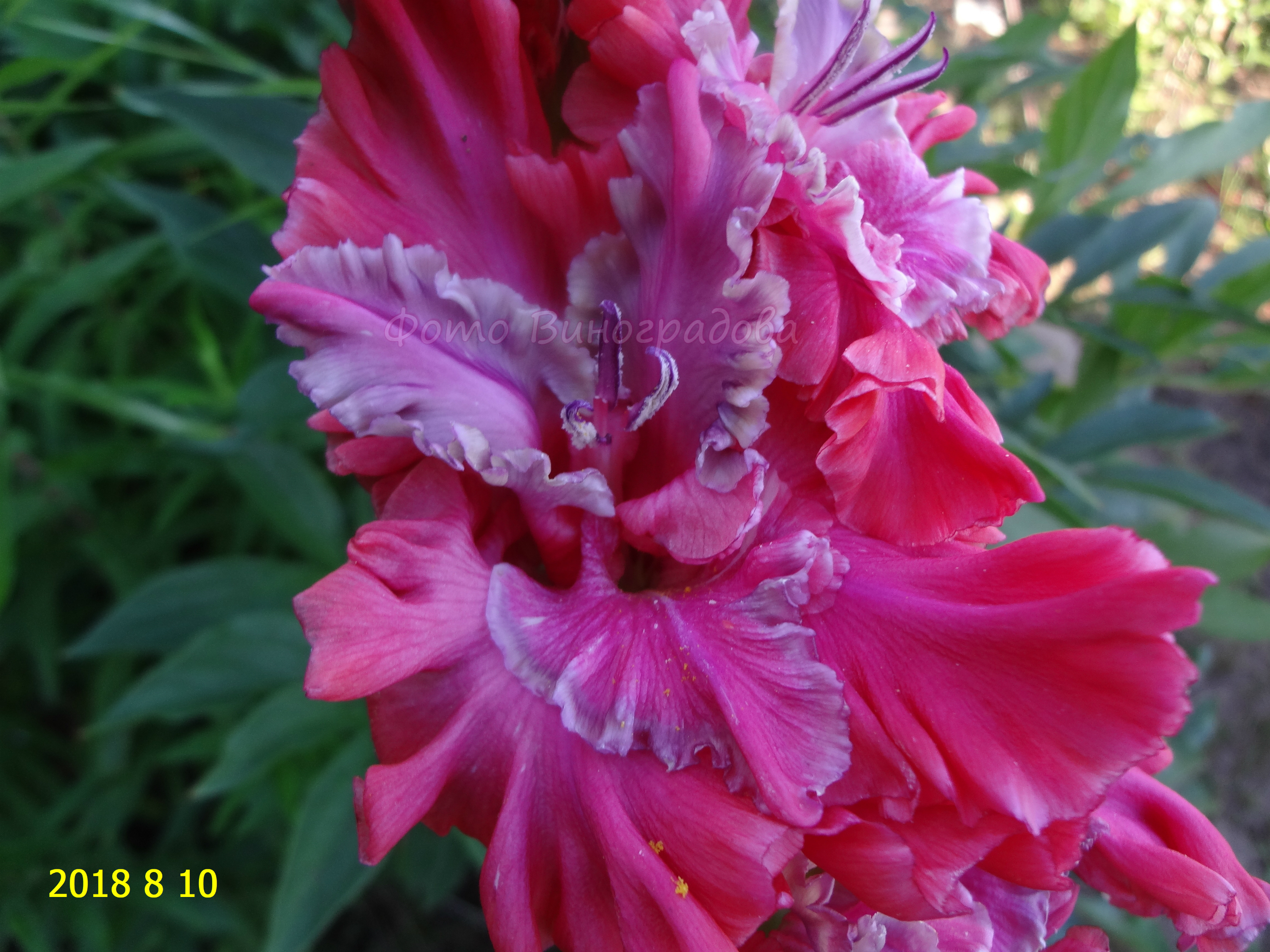 ПЕРПЕНДИКУЛЯРНЫЙ МИР (3)