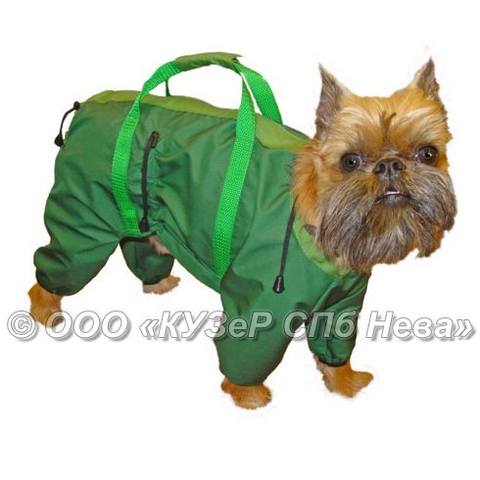 Tapтaлeтки & Ко