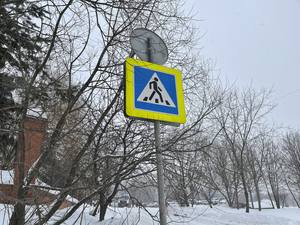 Публикувано изображение